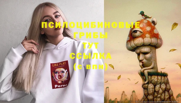 индика Верхнеуральск