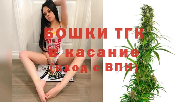 индика Верхнеуральск